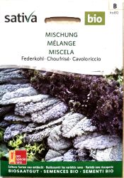 Kale Mix ORGANIC Seeds